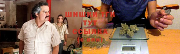 хмурый Нея
