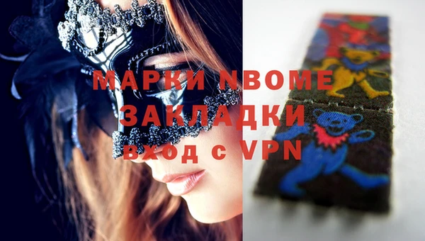 хмурый Нея