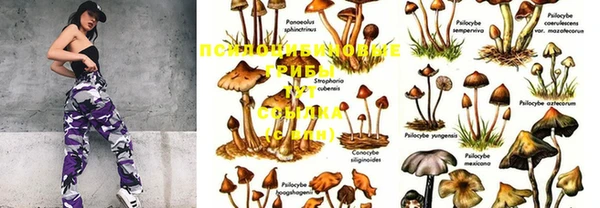 марихуана Абдулино