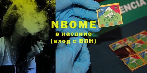 хмурый Нея